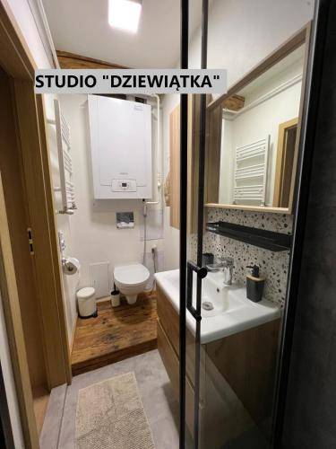 Apartament Kowary