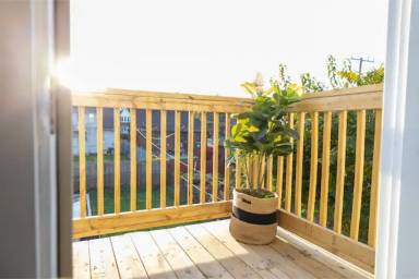 House Pet-friendly Marina District