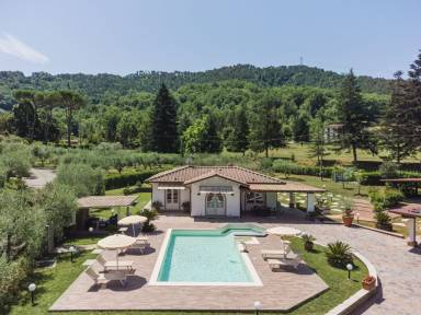 Freistehendes Ferienhaus mit privatem Pool für 6 Gäste mit Hund in Camaiore, Toskana