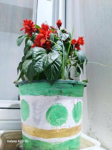 foto5
