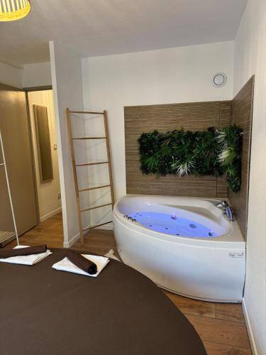 Appartement Pibrac
