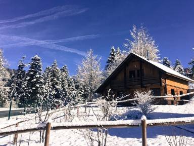Chalet La Bresse