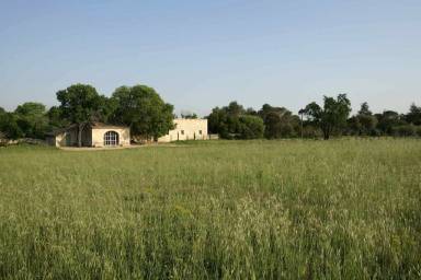 Longère Sommières
