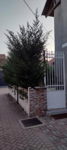 foto14