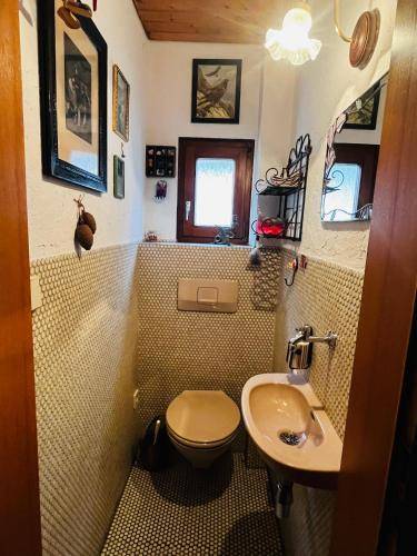 foto15