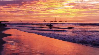 Casa Tamarindo
