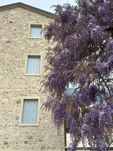 Agriturismo Rive De Guia — photo 3