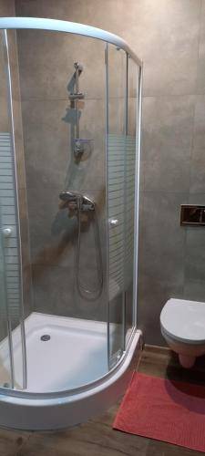Apartmán  Lipová-lázně