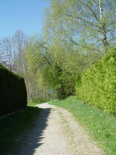 foto16
