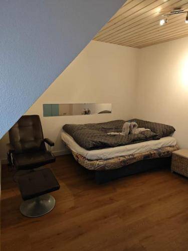 foto19