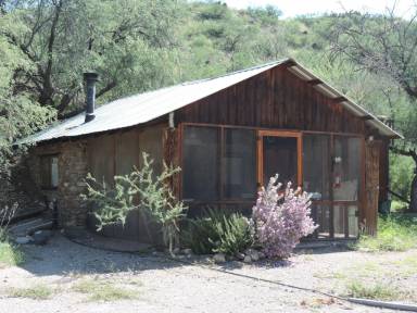 Cabin Benson