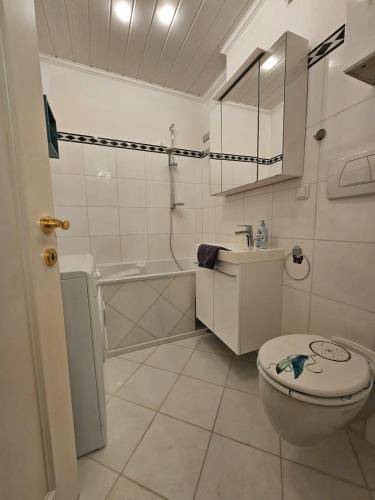 foto12