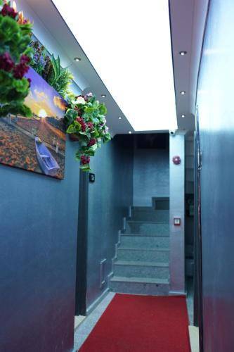 Beautiful serviced apartment with yard & terrace | Pets are welcome — photo 5
