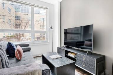 Apartment Chestnut Hill