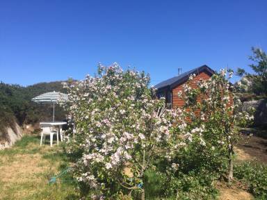 Cottage Carna