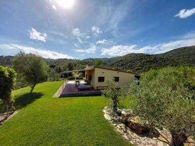 House Suvereto