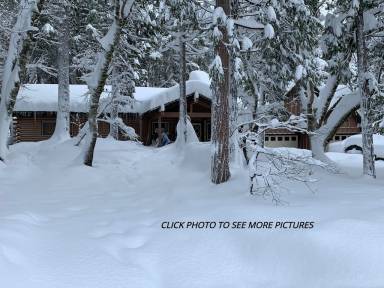 Cabin Sierra City