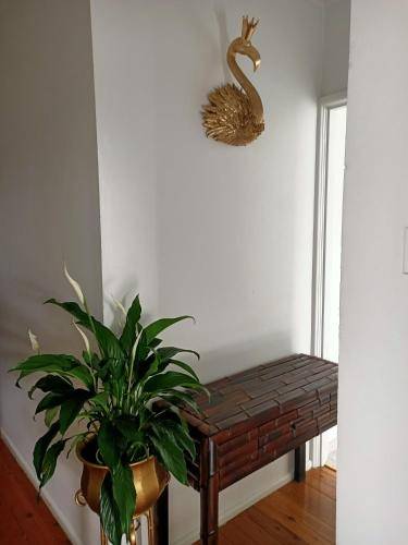 Apartment Woy Woy