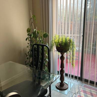 Condo
