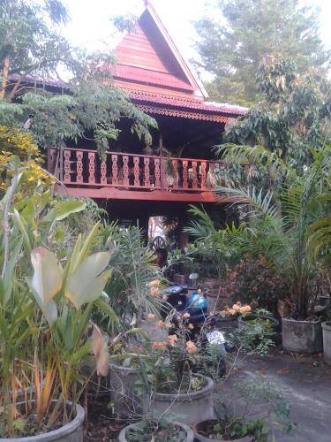 foto10