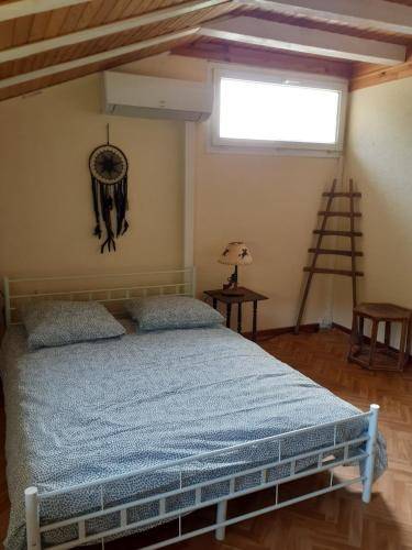foto19