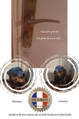 foto3