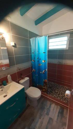 foto11