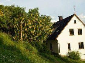 House  Hallenberg