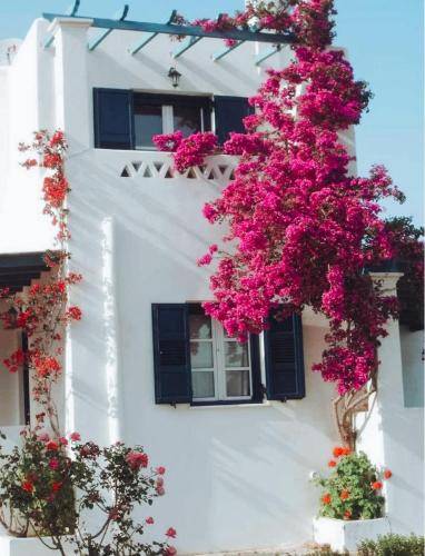 Casa  Molos