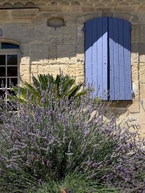 House  Arles