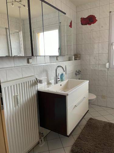 foto12