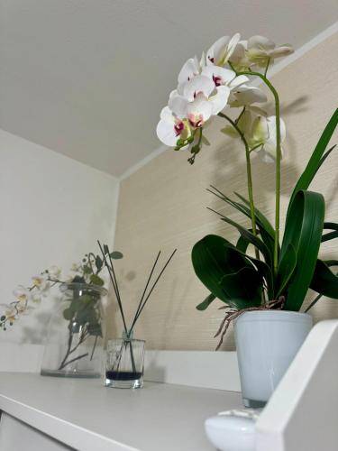 foto8