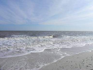 Condo Internet Cape San Blas