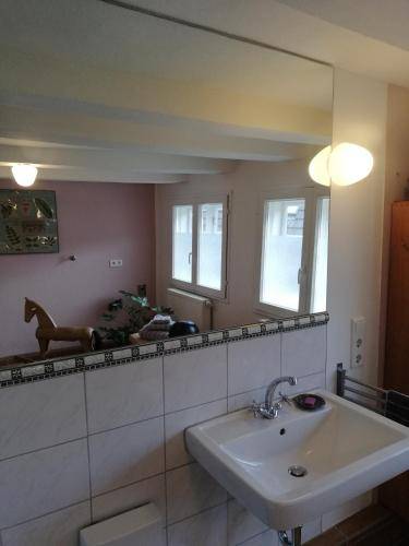 foto11
