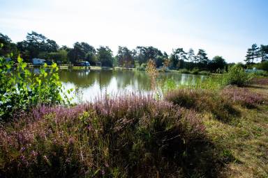Mobilheim Oeningen