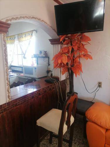 foto5