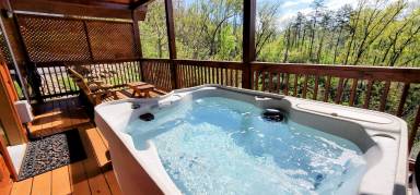 Cabin Sevier County
