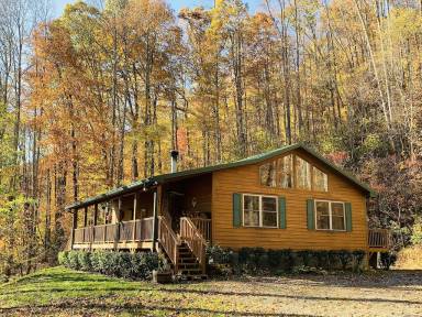 Cabin Sylva