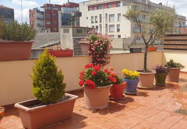 Appartement Figueras
