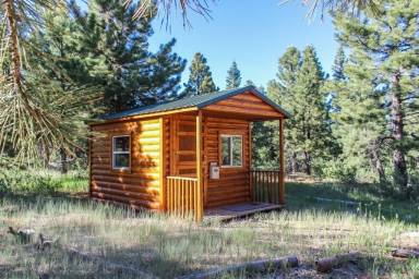 House  Duck Creek Village
