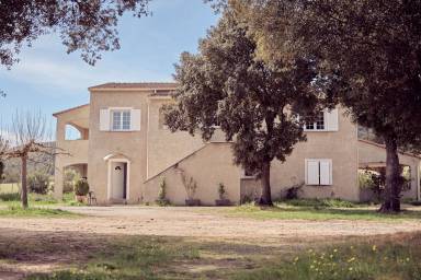 House  Moltifao