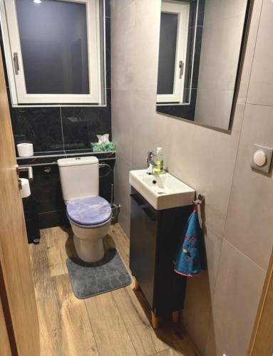 foto2