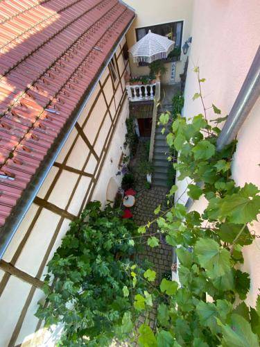 foto14