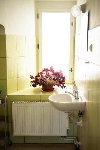 foto15