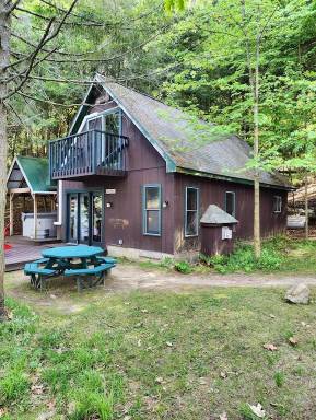 Cabin  Ray Brook