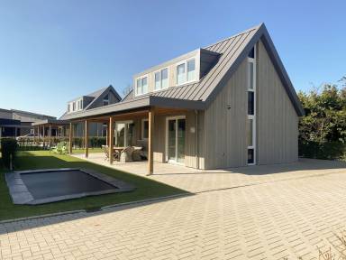Villa Pool Zanddijk