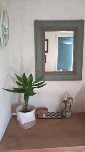 foto19