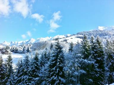 Chalet Saint-Jean-de-Sixt