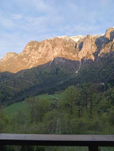 foto19
