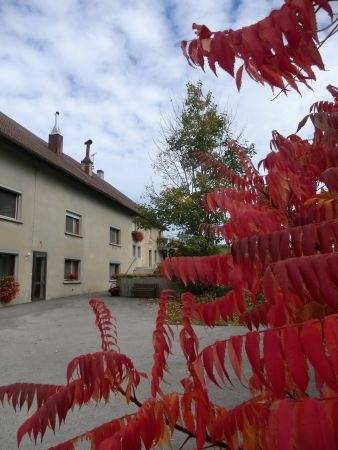 foto6